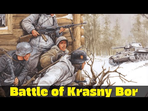 The Battle of Krasny Bor | Spanish Blue Division’s Stand in Russia 1943 | Eastern Front WW2