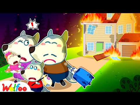 Wolfoo Is Moving Away From Old House! Fire Safety | Kids Cartoon | Wolfoo Family Official