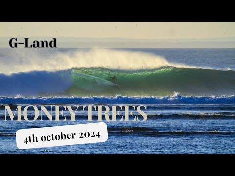 GLAND | 4TH OCTOBER 2024 | MONEY TREES | LONG SURFING VIDEO