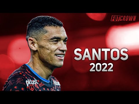 Santos 2022 ● Flamengo ► Melhores Defesas | HD