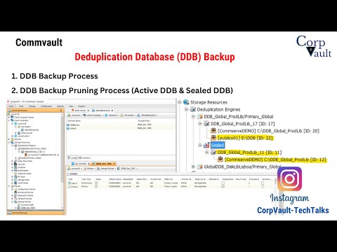 #Commvault - Deduplication Database (DDB) Backup