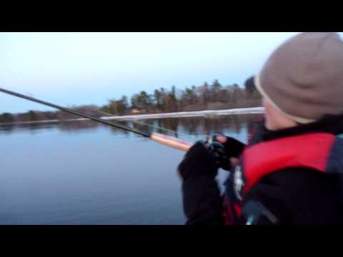 Fight av 4,3:a, första gäddan för året