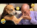 I M 101 SURE That You Will LAUGH EXTREMELY HARD Funny Dog 2025 164