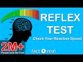Reflex Test Check Your Reaction Speed How Fast You Are