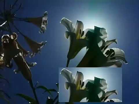 Lots of hands - Mistake (Tiktok Version)