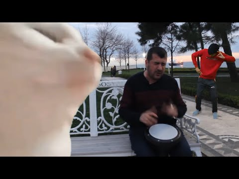 Kaustic - Ievan Polkka ft. Bilal Göregen (Remix) [OFFICIAL VIDEO]