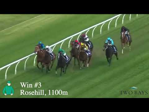 Xtravagant Star (Xtravagant/She's a Danica)