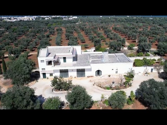 Rif.1730 TORRE CANNE FASANO  MASSERIA IN VENDITA