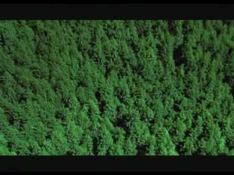 Spot Bilbor - Puritate de la altitudine