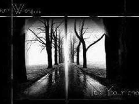 ... kamienny las ...