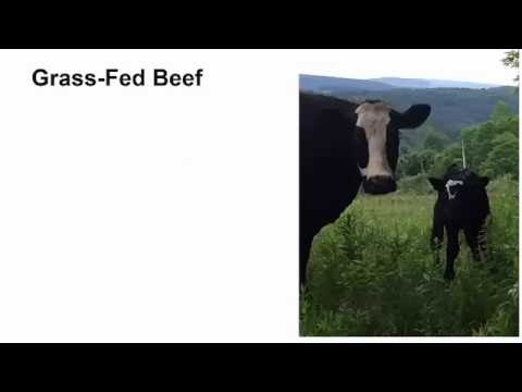 Grass Fed Beef Vs Grain Fed Beef