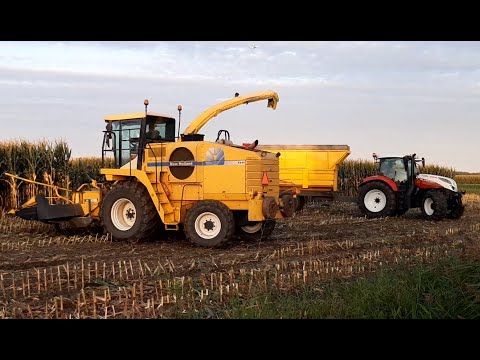 mais hakselen Limmen 2025 | New Holland FX40 | PURE SOUND