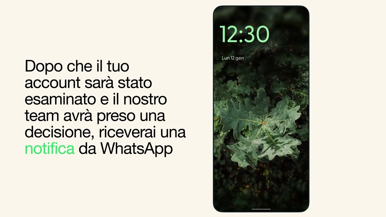 Quali azioni eseguire se il tuo account WhatsApp è stato sospeso | WhatsApp