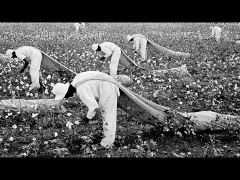 How a Cotton Plantation Became America's Most Brutal Slave Prison