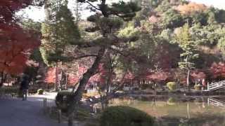 preview picture of video '虎渓山永保寺　紅葉　2013年　autumn foliage kokeizan eihouji temple from gifu prf in japan'