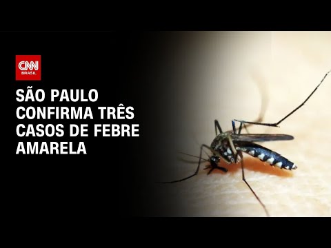 Estado de São Paulo confirma três casos de febre amarela; uma pessoa morreu | CNN NOVO DIA