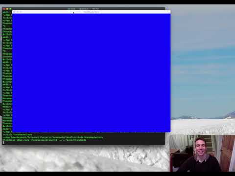Handmade Hero Mac OS Platform Layer Day 4, Animating the Backbuffer