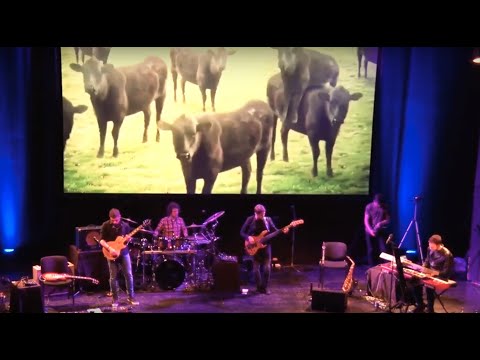 Gis Maj Es - Jumpy - (Live 2019)