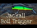 Spawning tiger