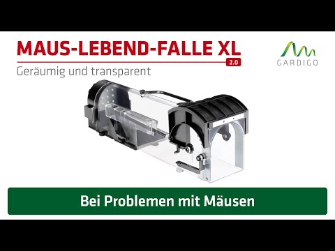 Maus-Lebend-Falle XL 2.0 │ die schonende Fangmethode von Gardigo!
