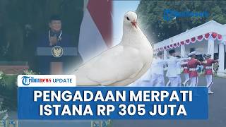 Download lagu Viral: IDR 305 Million Pigeon Procurement for Independence Day Ceremony at the Palace, ICW Throws... mp3