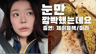 성시경 콘서트 보고 눈만 깜빡 했을 뿐인데 1월 반토막 난 이야기 / 제이블랙 마리 부부일상