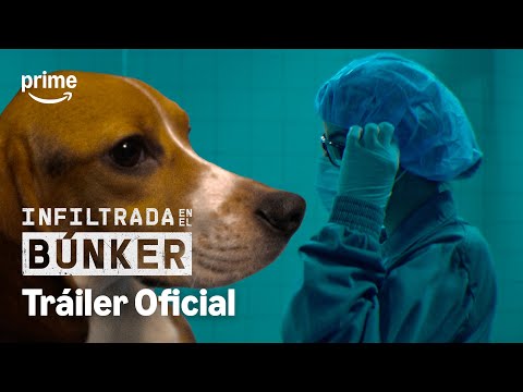 Infiltrada en el búnker trailer thumbnail on YouTube