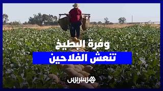 بعد سنوات الجفاف.. ''البطيخ الدكالي'' يعود بقوة وينعش جيوب الفلاحين بمحصول استثنائي thumbnail