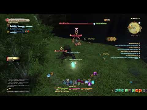 Final Fantasy XIV A Realm Reborn - What's in the Box - Arcanist Level 5 Quest