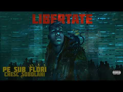 MIHUȚ x Pazzo - LIBERTATE  [Official Visualizer]