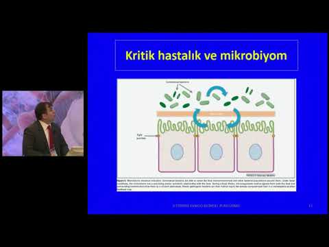 42 sepsis hastasinda beslenme neleri yapmali neleri yapmamali