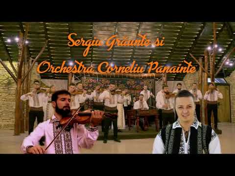 Sergiu Grăunte & Orchestra Corneliu Panainte - Călător pe drumul vieții I 2020 I