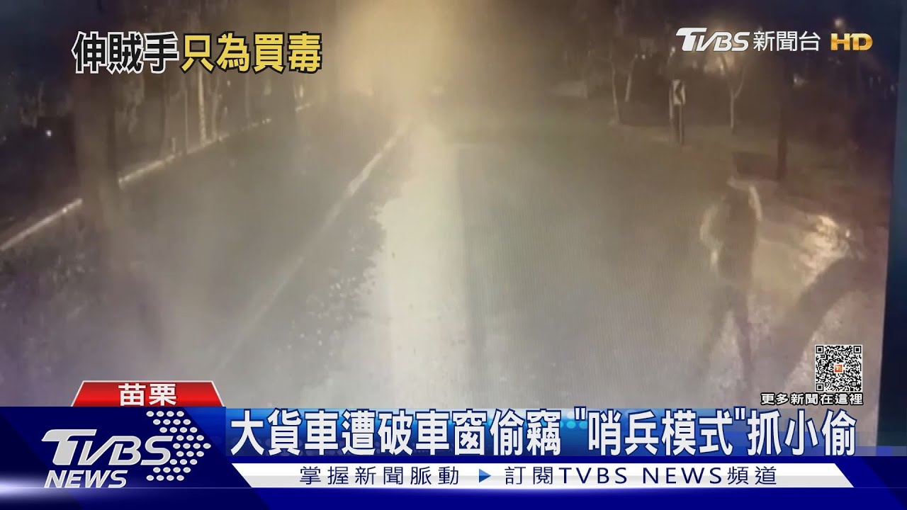 大貨車遭破車窗偷竊 「哨兵模式」抓小偷