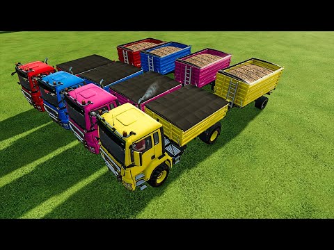 LOAD AND TRANSPORT SUGAR BEET WITH COLORED MAN TRUCKS- FARMING SIMULATOR 22