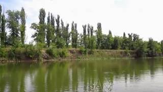 Ссылка