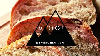 Let Me Know What You Think | Vlog | Canning | Sourdough Bread | EverCrest