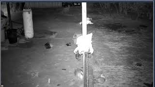 Thumbnail del capítulo