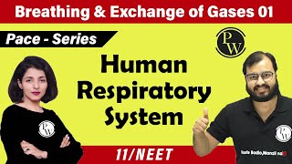 Breathing and Exchange of Gases - 01 | Human Respiratory System | Class 11| Neet | Pace Series