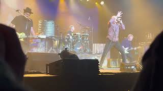 Midnight Oil - I’m The Cure (live)