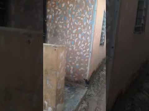 3 Units of Mini-Flats for Sale at Abaranje, Near K&S Bus Stop