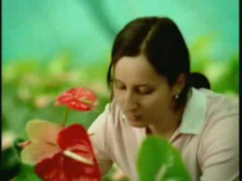 YANNI 1001-New Age Music-YANNI 1001-ياني