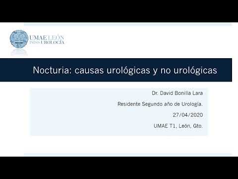 Nocturia: causas urológicas y no urológicas