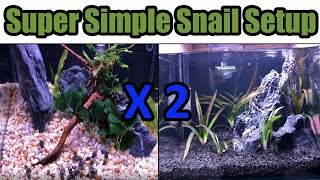 2 Super SIMPLE Aquascapes Built with Leftover Materials. | Snail Breeding Project.