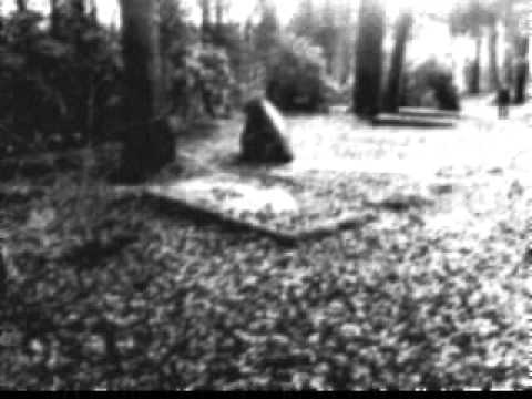 Hekte Zaren : "Oh,Death!Sway me!"-...She said...