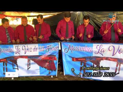 Marimba l voz de las Flores, San José las Flores, Chiantla Huehuetenango