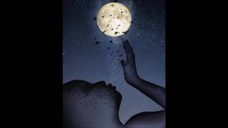 Curtis Harding.  Welcome to my world.