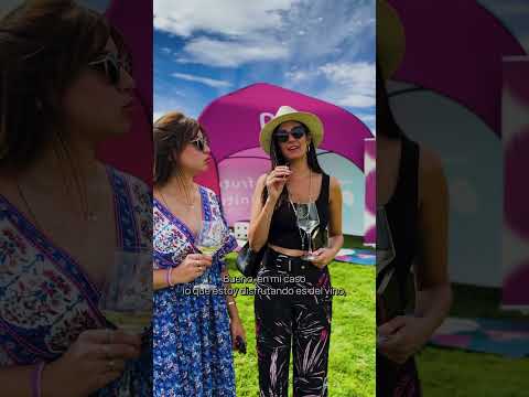 La Vendimia en la bodega Malma