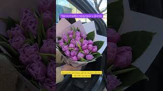 Bouquet of 25 peony tulips (imported, Netherlands) - video