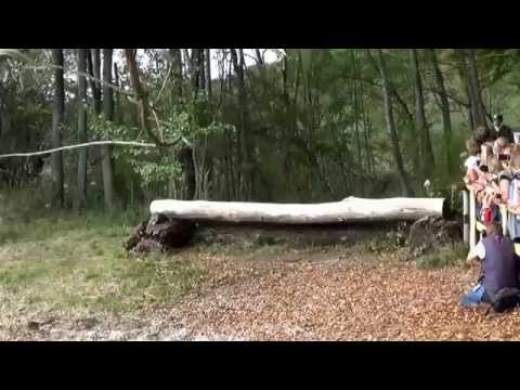 57.Herbstjagd Herrenchiemsee 2014