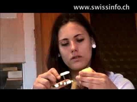 Working holidays on the farm